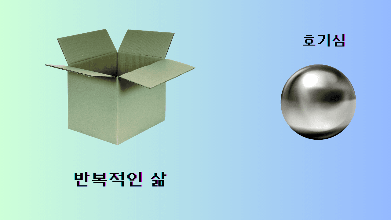 P2P 썸네일 이미지