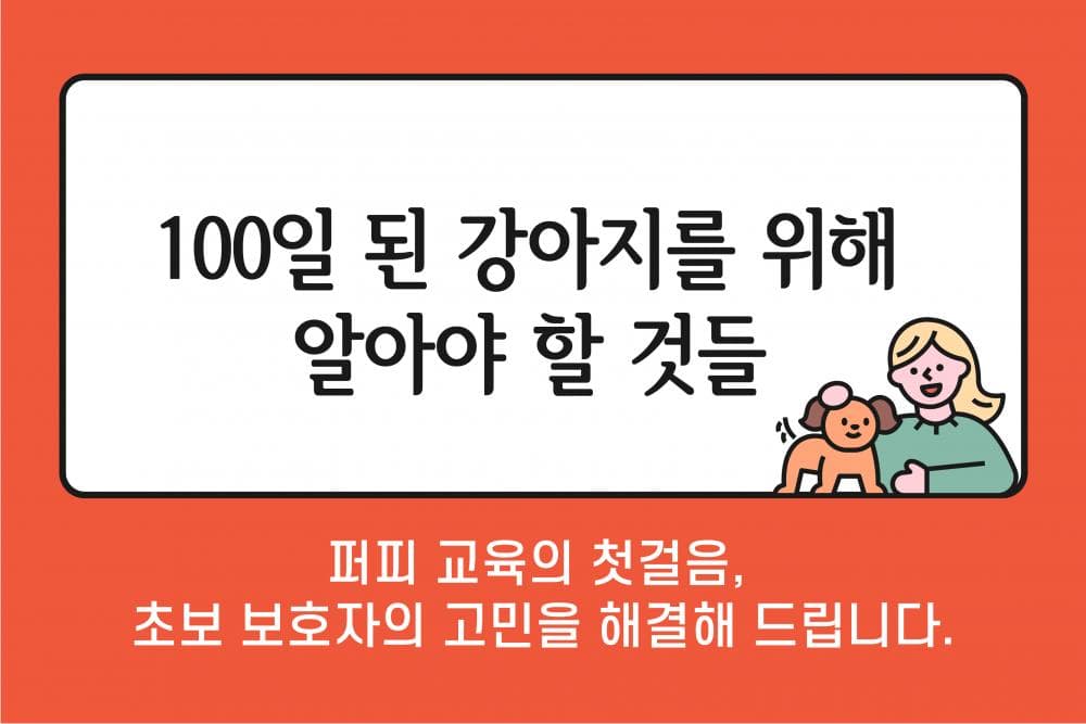 P2P 썸네일 이미지