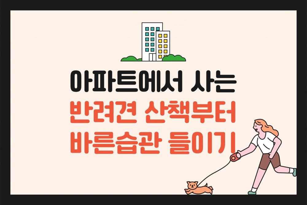 P2P 썸네일 이미지