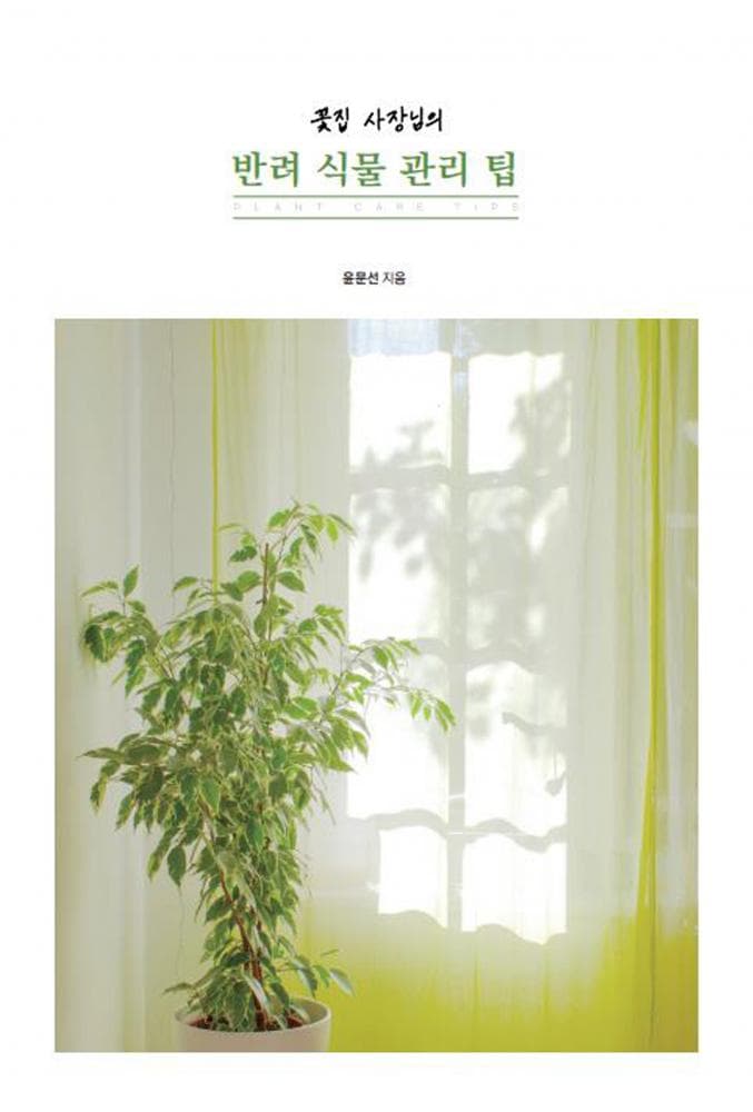 P2P 썸네일 이미지