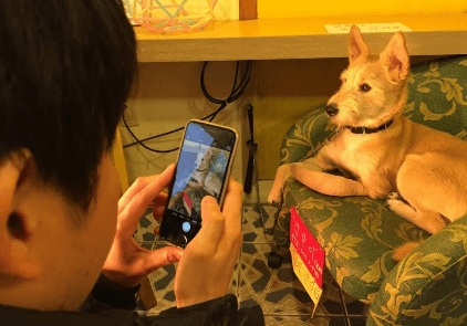 P2P 썸네일 이미지