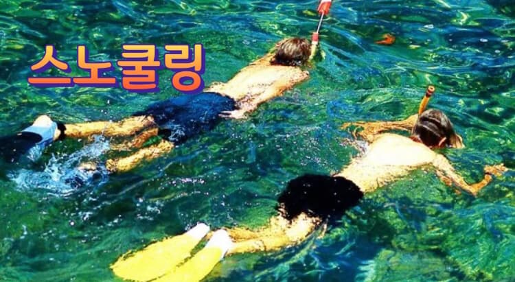 P2P 썸네일 이미지