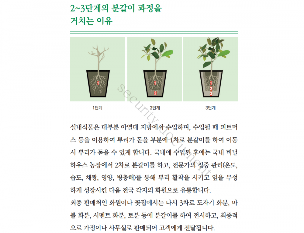 P2P 썸네일 이미지
