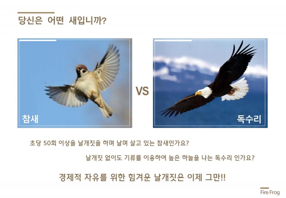 P2P 썸네일 이미지