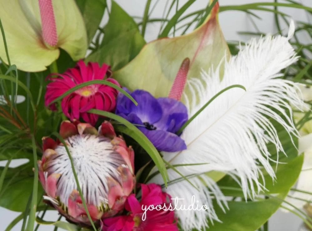 P2P 썸네일 이미지