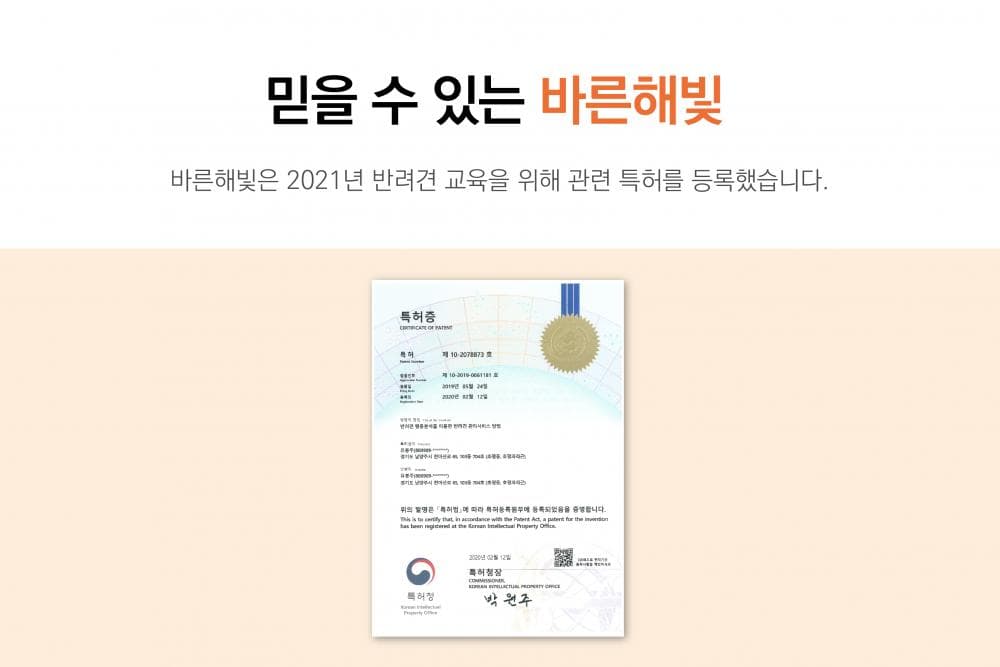P2P 썸네일 이미지