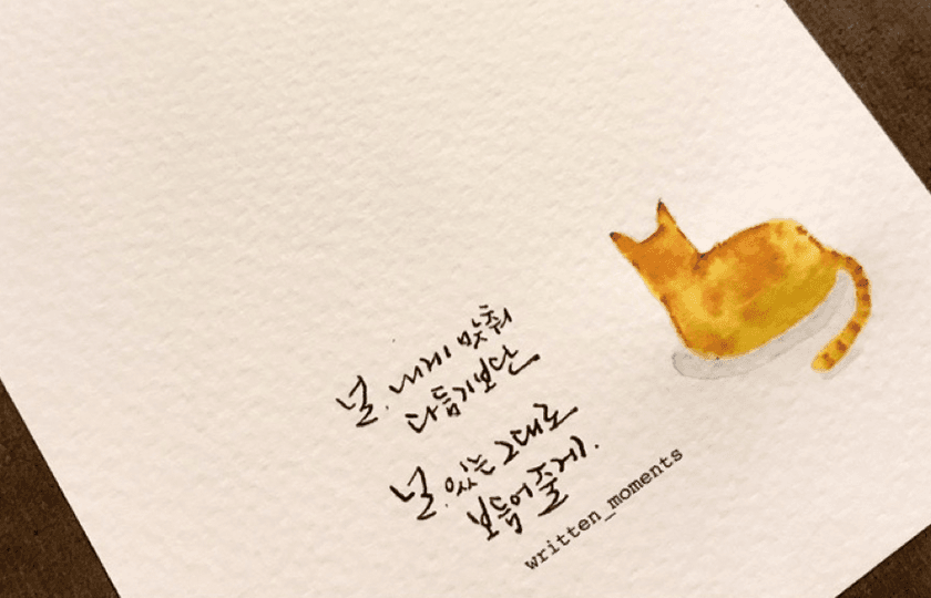P2P 썸네일 이미지