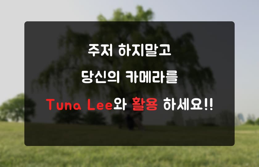P2P 썸네일 이미지
