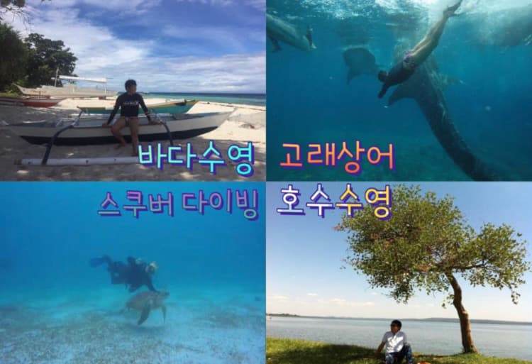 P2P 썸네일 이미지