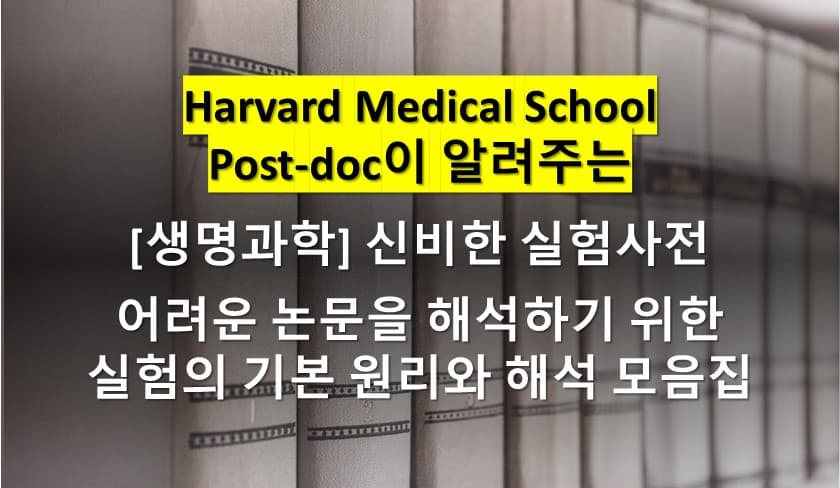 P2P 썸네일 이미지