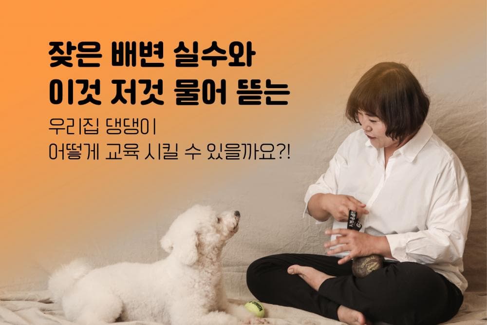 P2P 썸네일 이미지