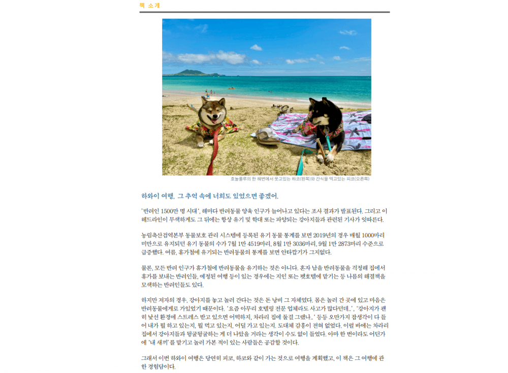 P2P 썸네일 이미지