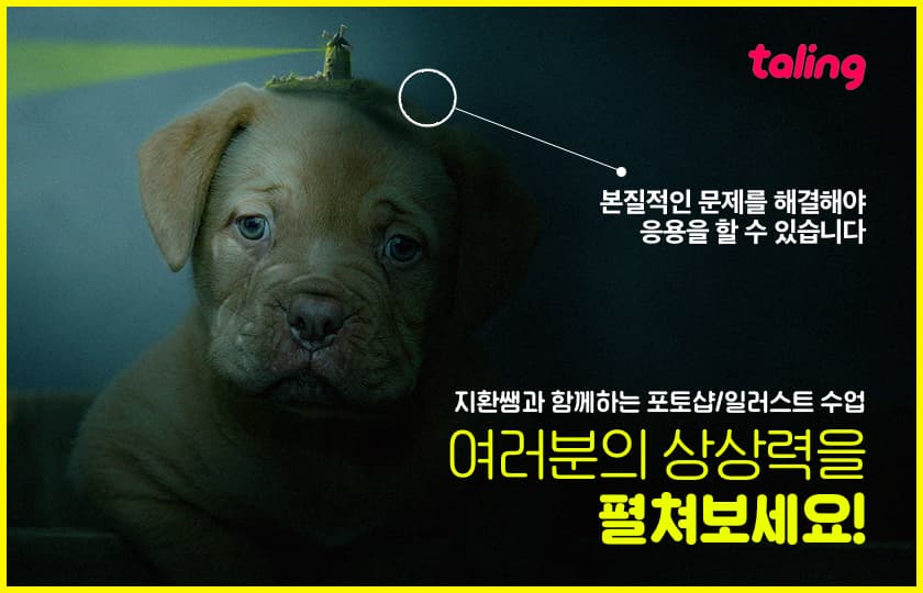 P2P 썸네일 이미지
