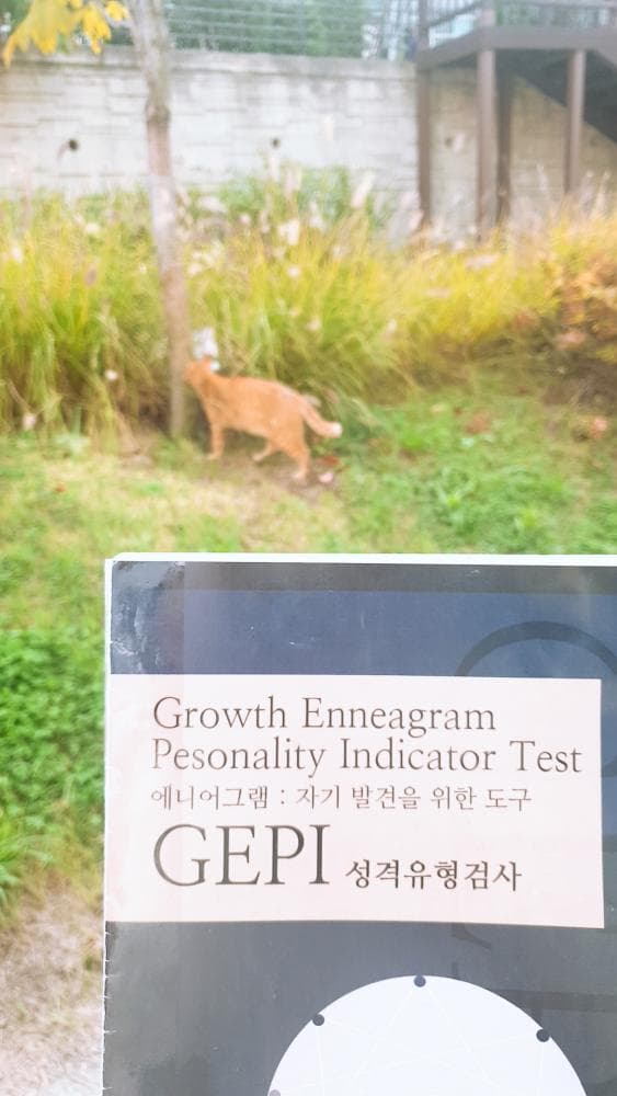 P2P 썸네일 이미지