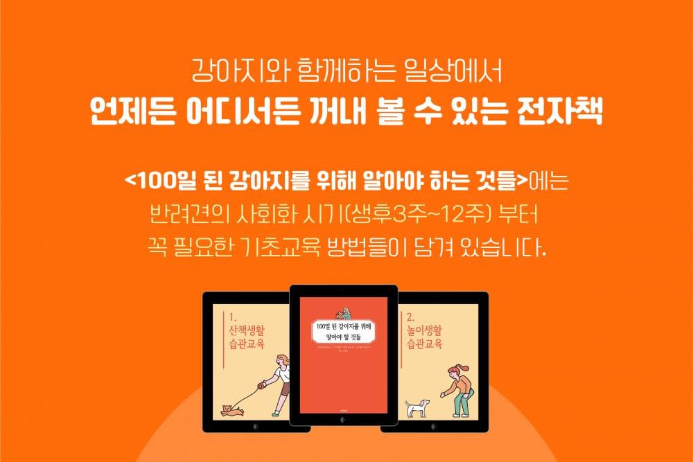 P2P 썸네일 이미지