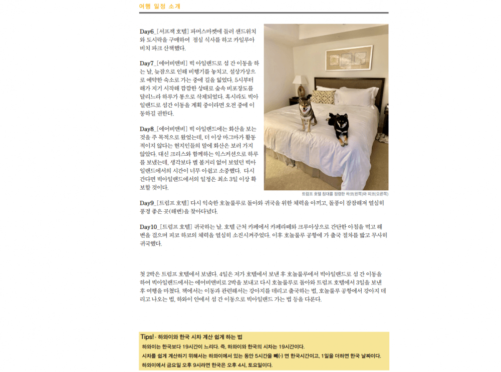 P2P 썸네일 이미지