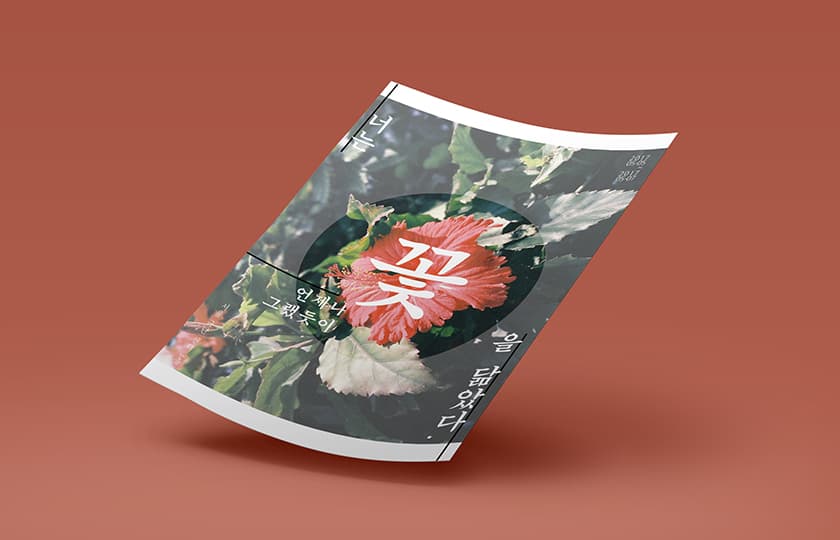P2P 썸네일 이미지