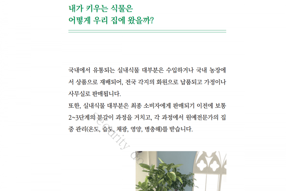 P2P 썸네일 이미지