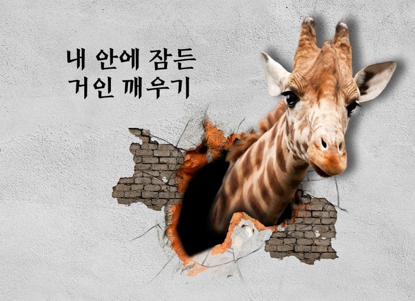 P2P 썸네일 이미지