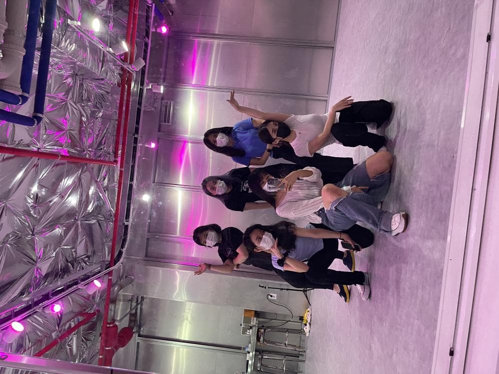 P2P 썸네일 이미지