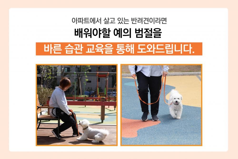P2P 썸네일 이미지