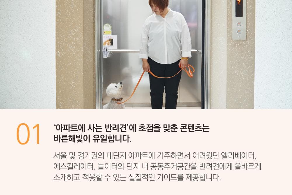 P2P 썸네일 이미지