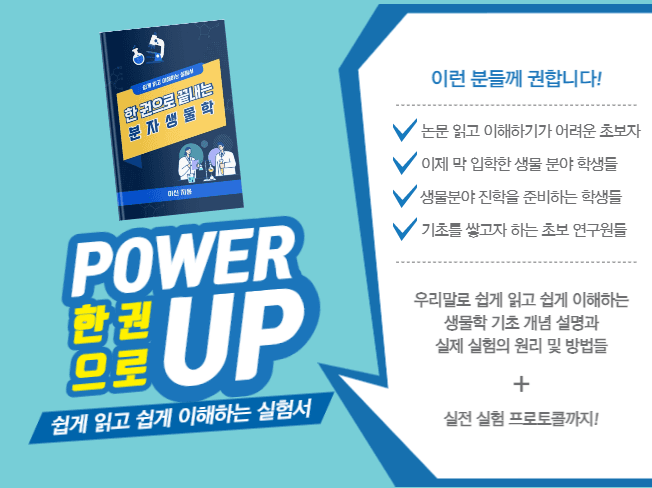 P2P 썸네일 이미지