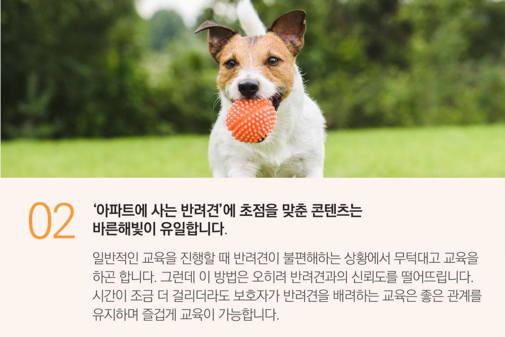 P2P 썸네일 이미지