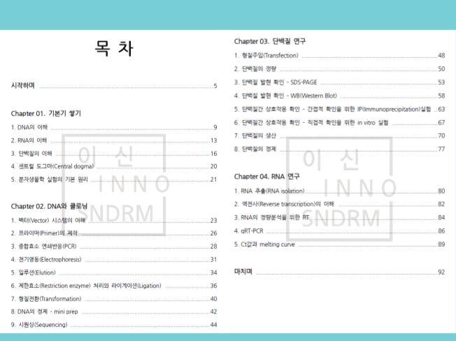 P2P 썸네일 이미지