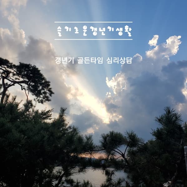 P2P 썸네일 이미지