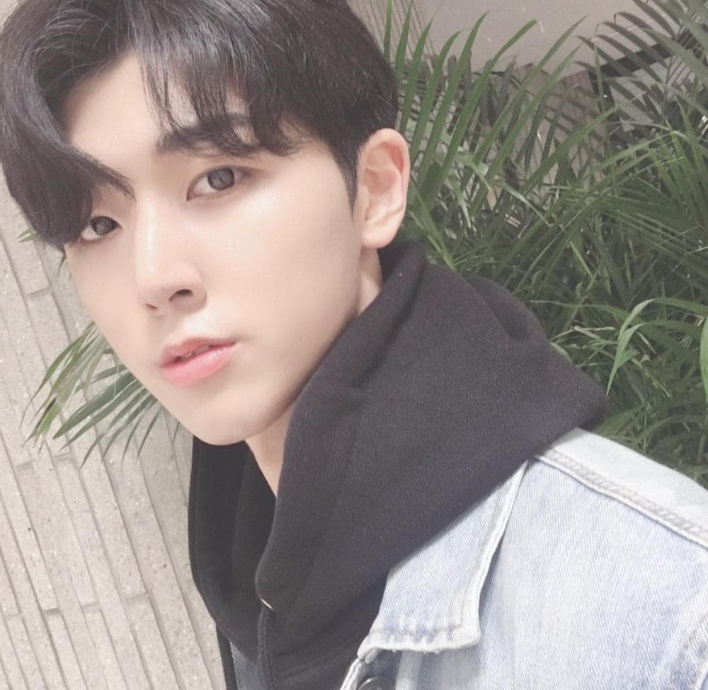 P2P 썸네일 이미지