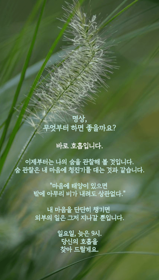 P2P 썸네일 이미지