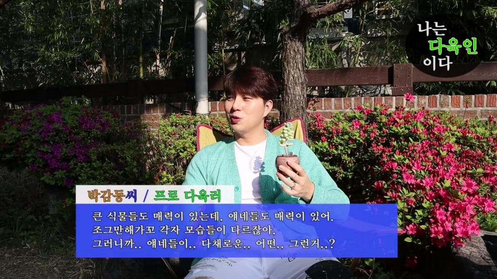 P2P 썸네일 이미지