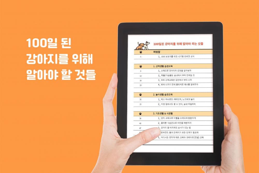 P2P 썸네일 이미지