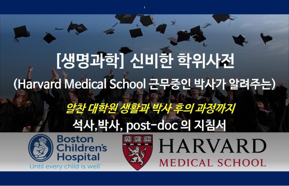 P2P 썸네일 이미지