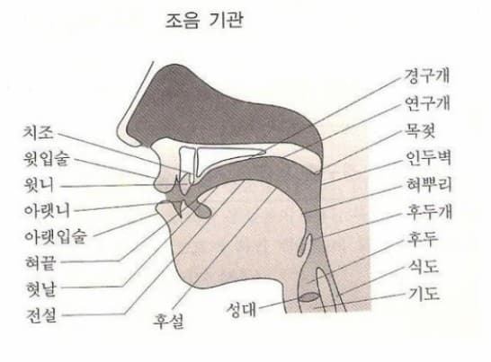 P2P 썸네일 이미지