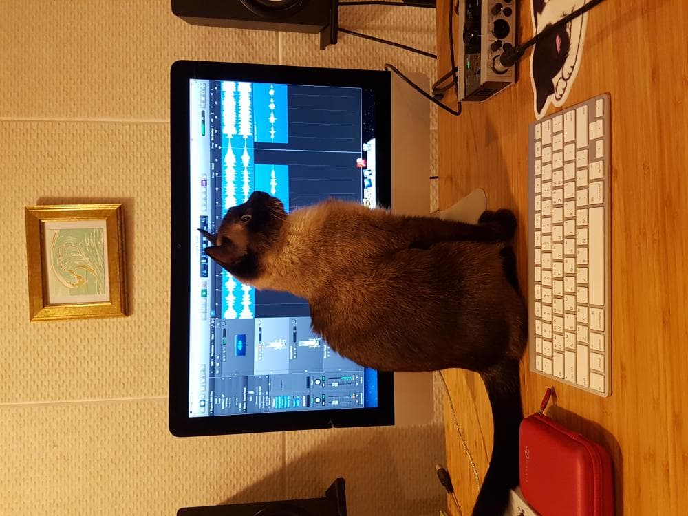 P2P 썸네일 이미지